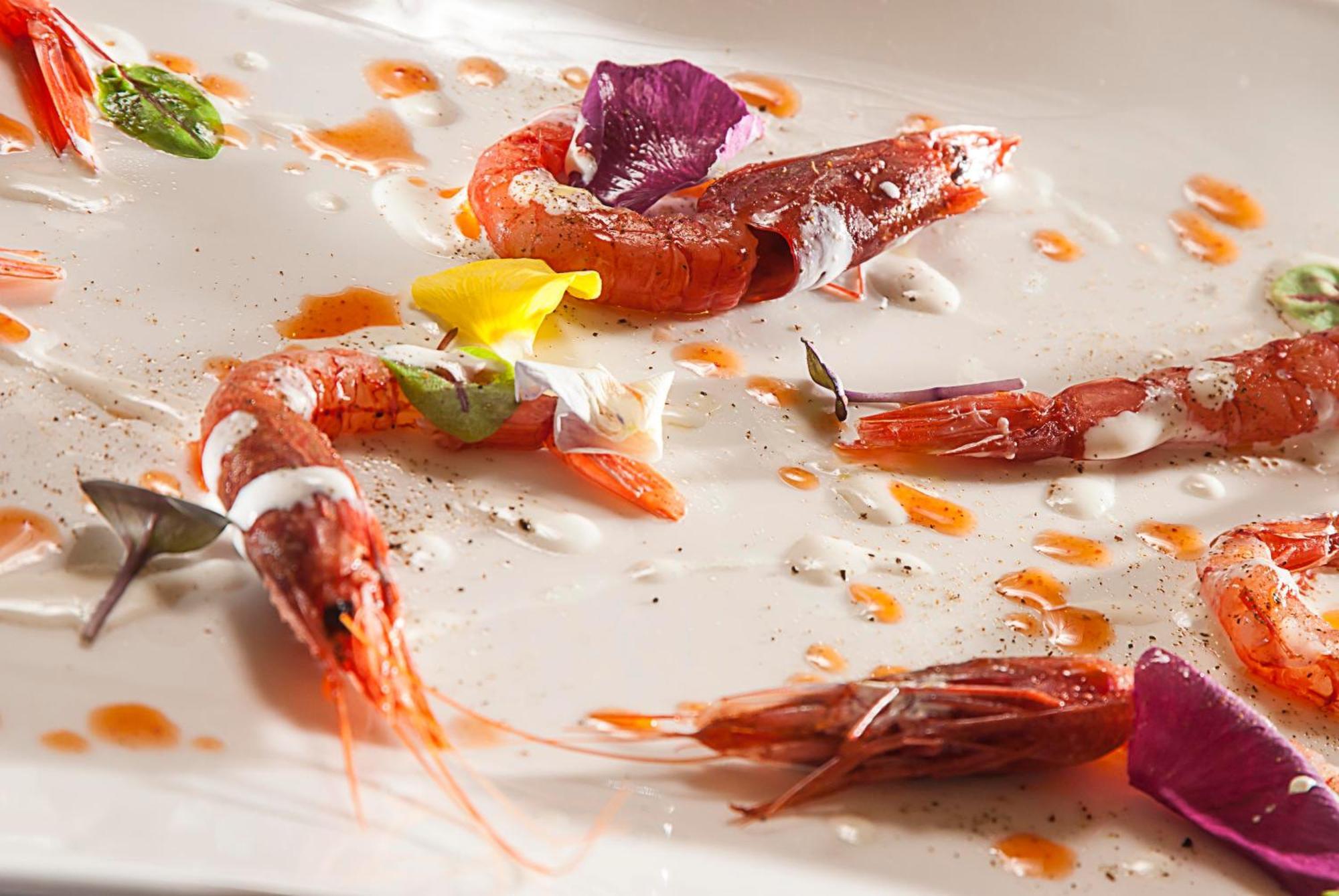 Hotel Carducci 76 카톨리카 외부 사진